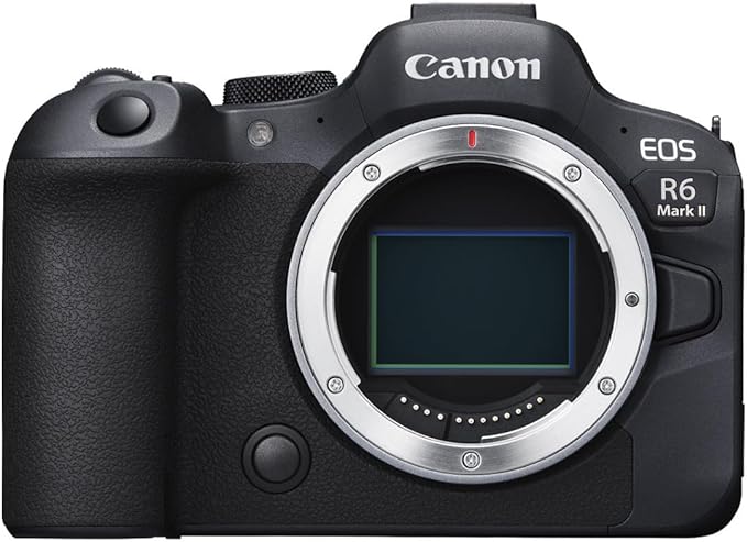 Canon’s high-performance full-frame mirrorless camera body, featuring fast autofocus, 4K video, and excellent image stabilization for pros and serious hobbyists.